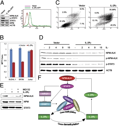 Fig. 6.