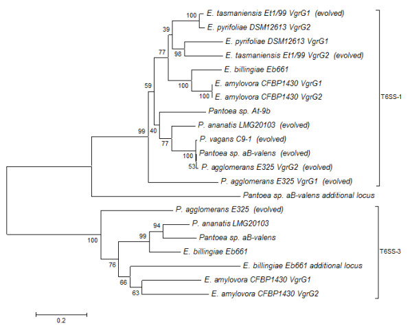 Figure 10