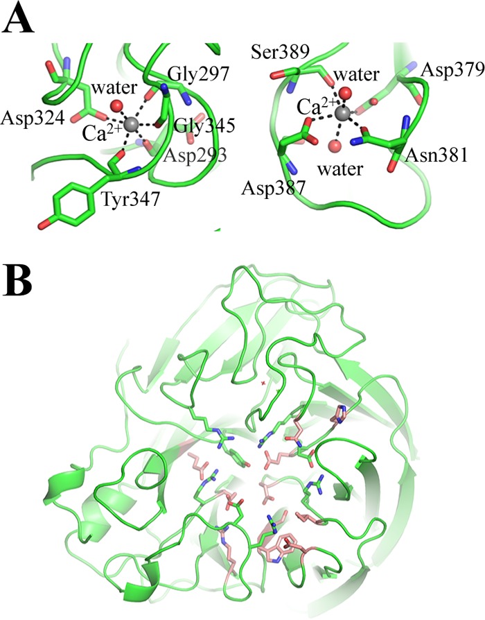 FIG 9