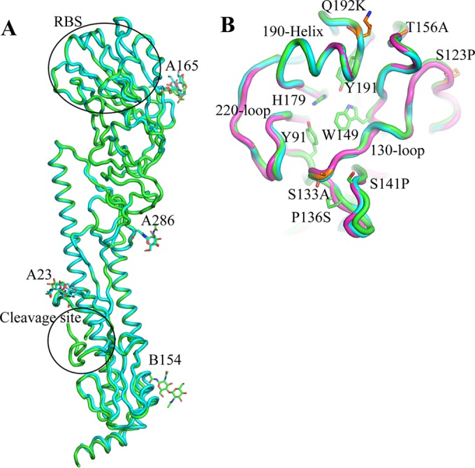 FIG 1