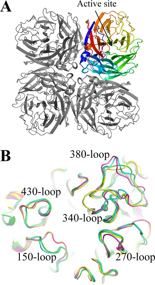 FIG 7