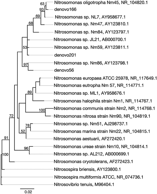 Figure 10.