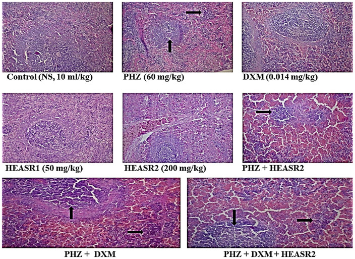 Figure 10.