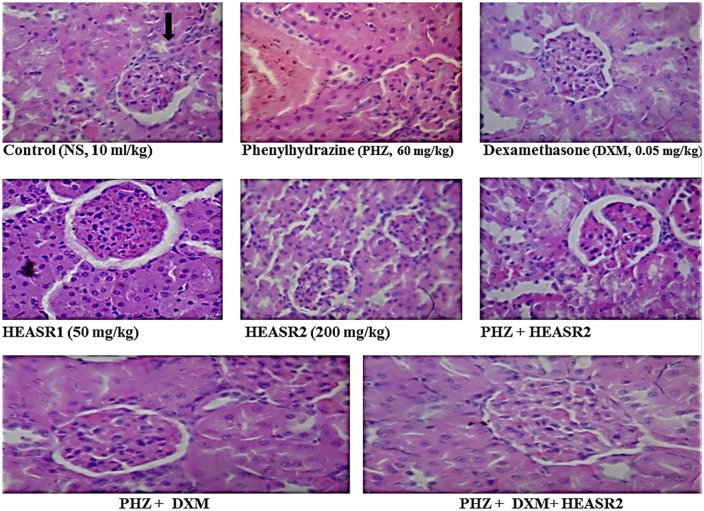 Figure 12.