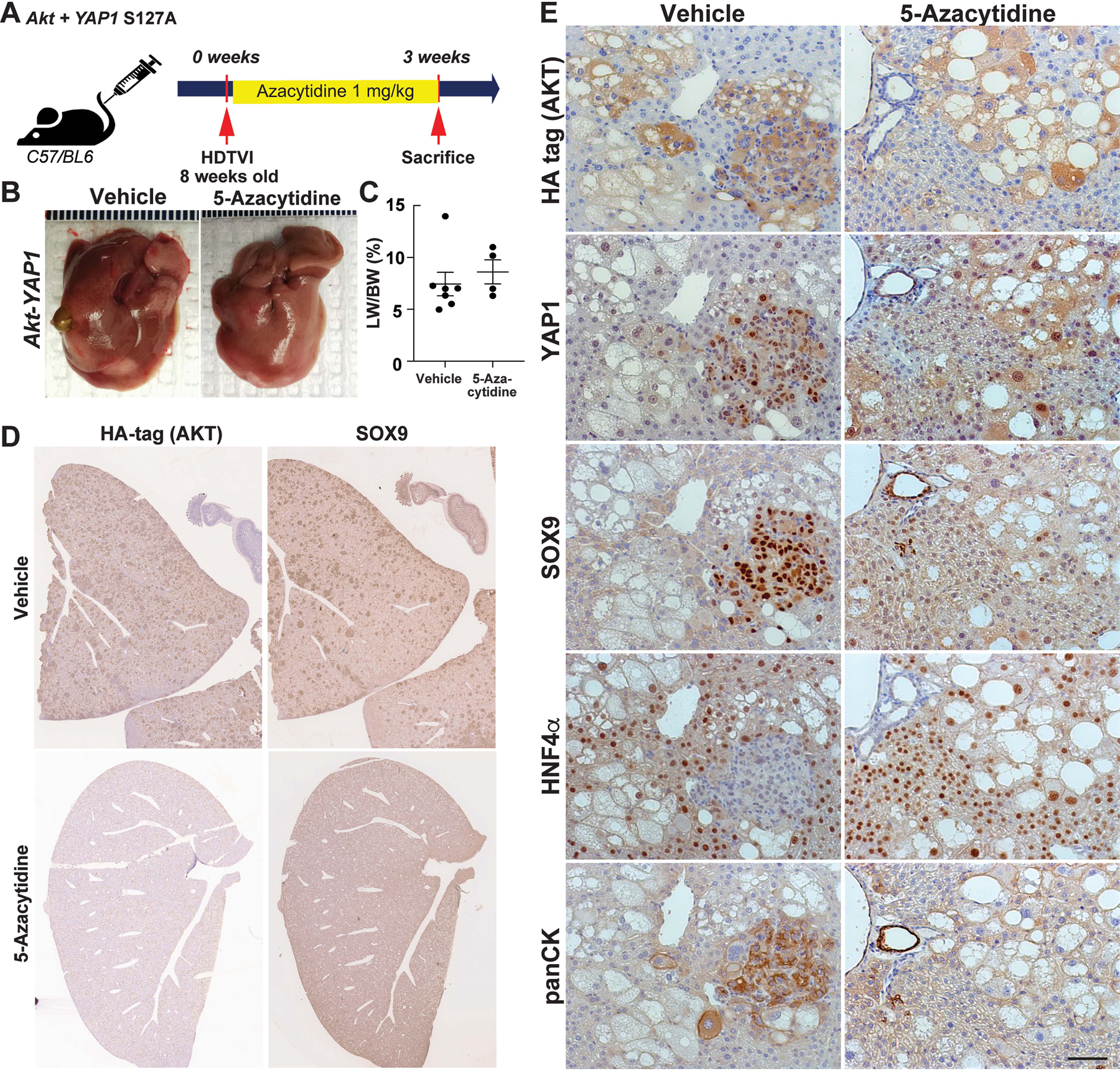 Figure 6: