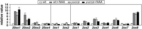 Figure 6.