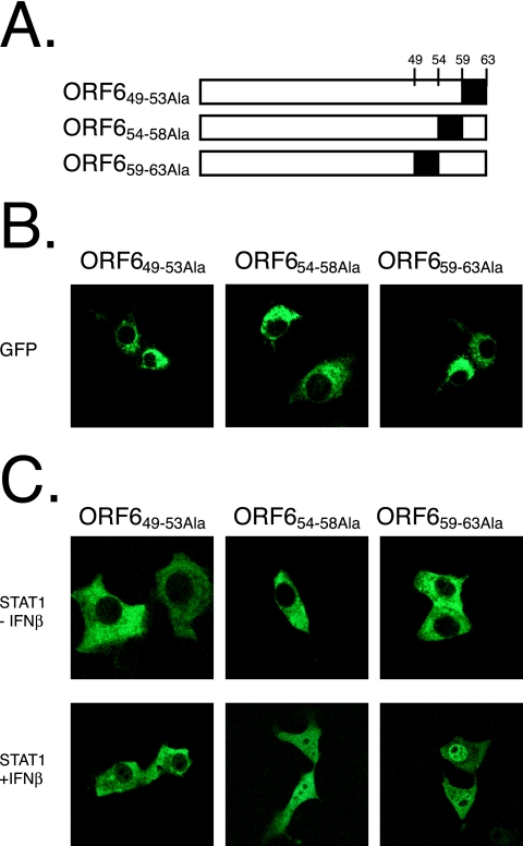 FIG. 7.