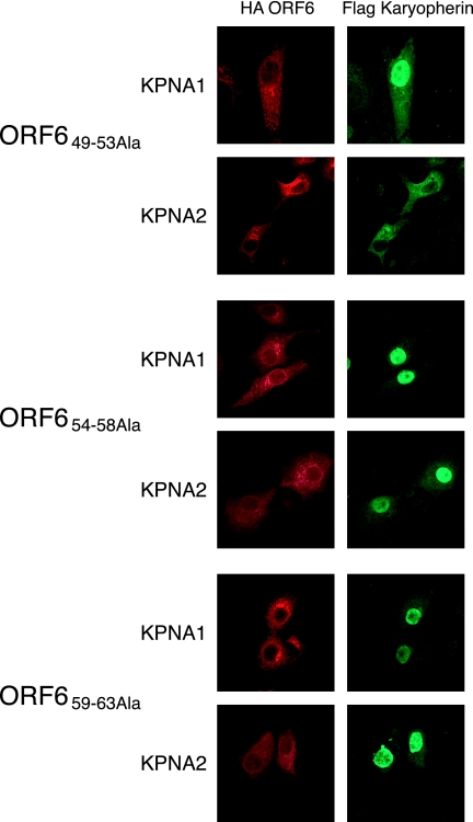 FIG. 8.