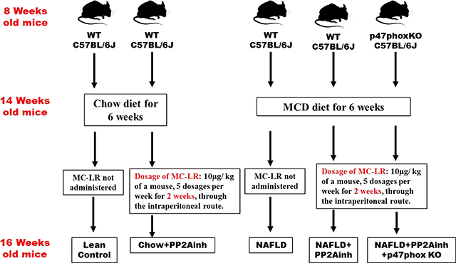 graphic file with name nihms-1621945-f0012.jpg