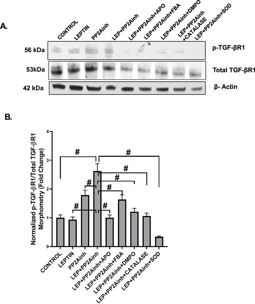 Fig. 10.