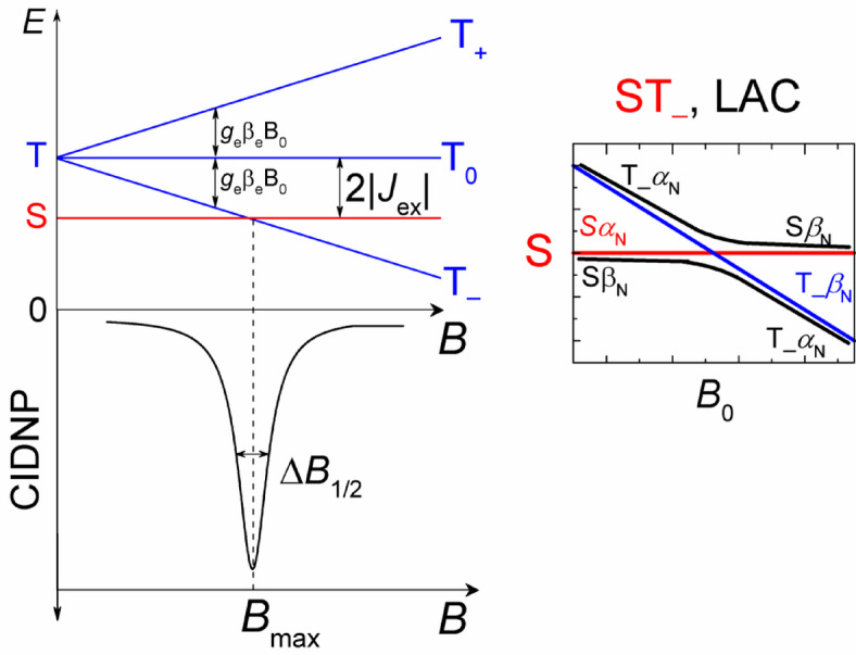 Fig. 9