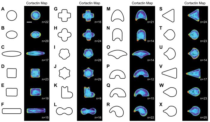 graphic file with name nihms-88771-f0003.jpg