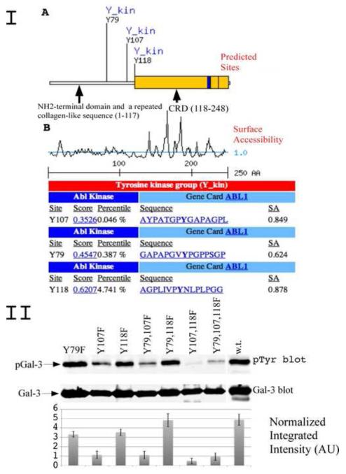 Figure1