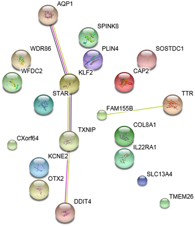 Figure 4.