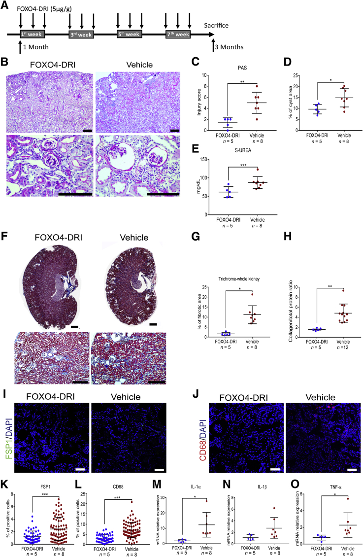 Figure 6