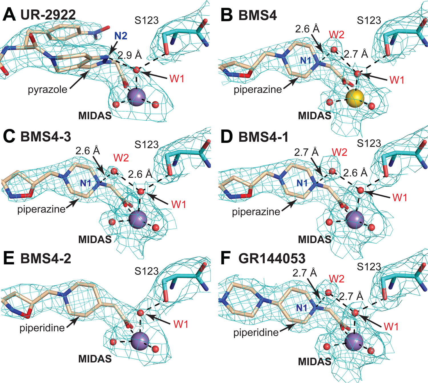 FIGURE 4.