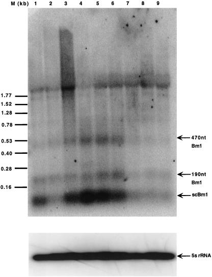 Fig 2.