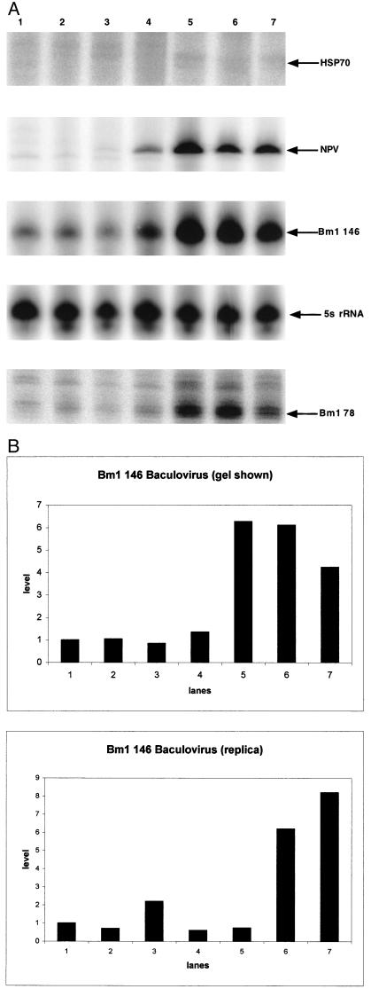 Fig 7.