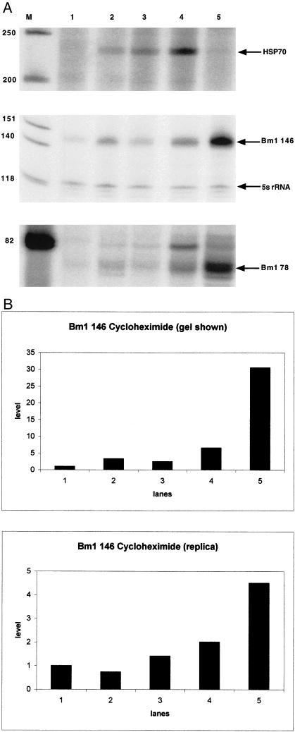 Fig 4.