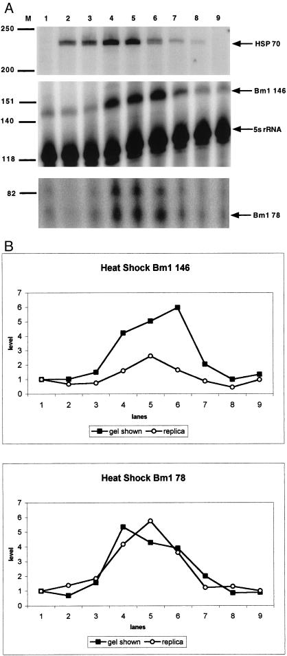 Fig 3.