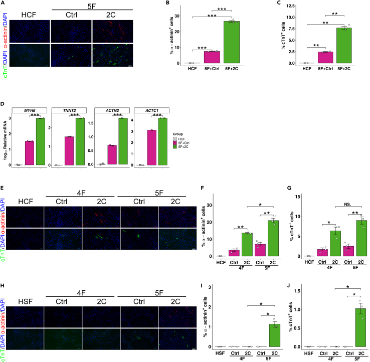 Figure 4