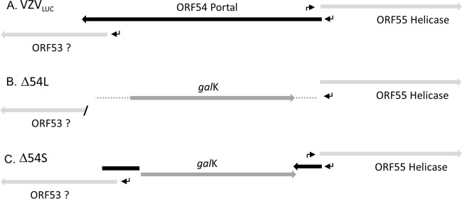 FIG 2