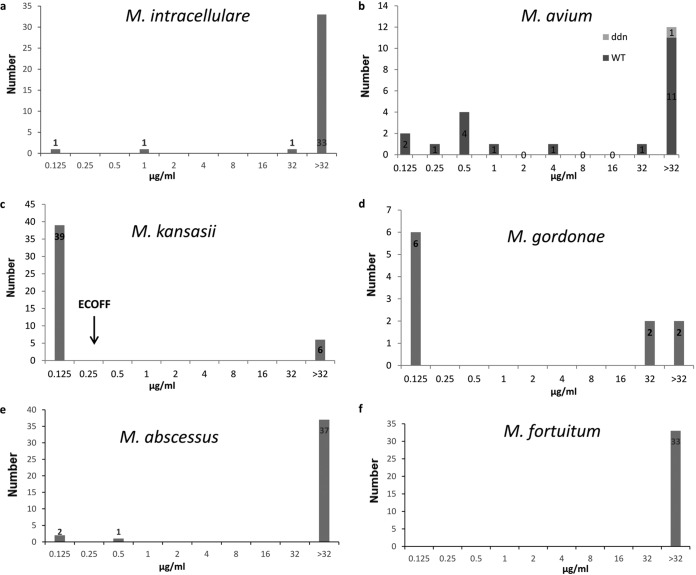 FIG 2