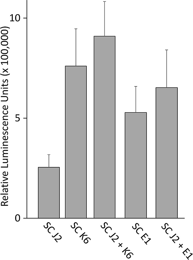 Figure 5