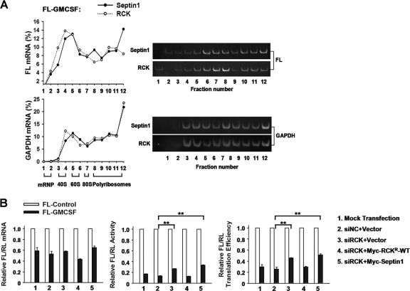 Fig 10