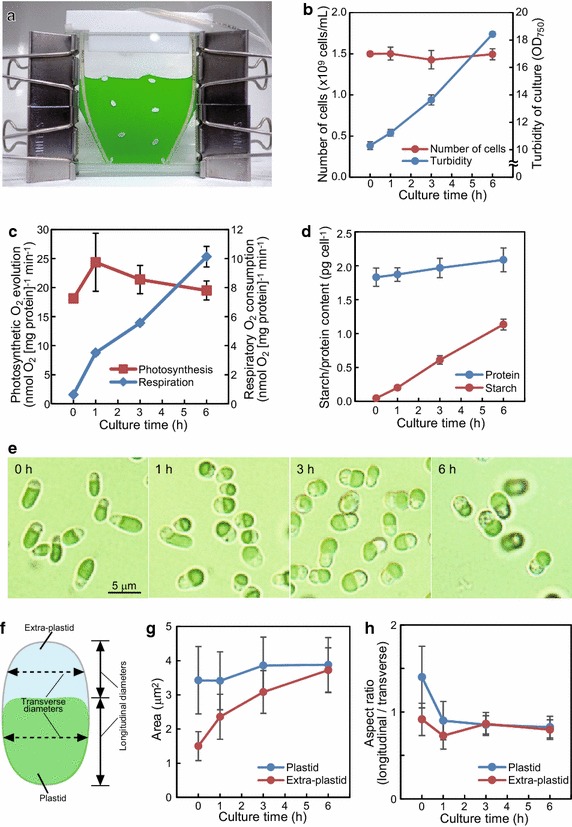 Fig. 1