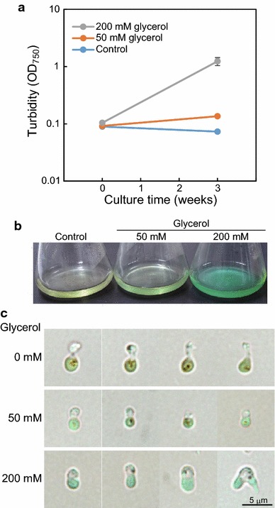 Fig. 6