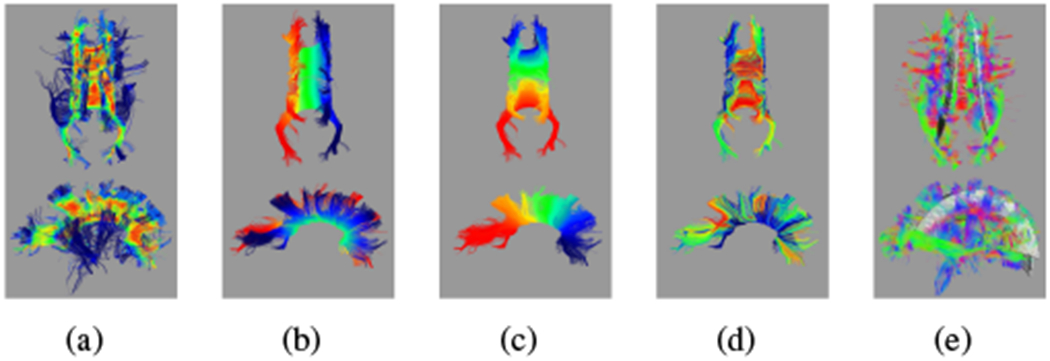 Fig. 7.