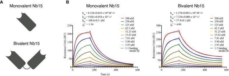 Figure 5