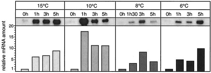 FIG. 4