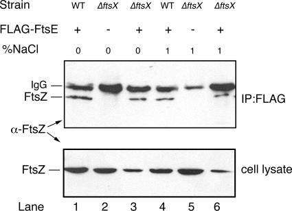 FIG. 7.