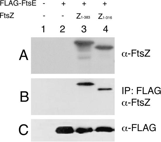 FIG. 6.