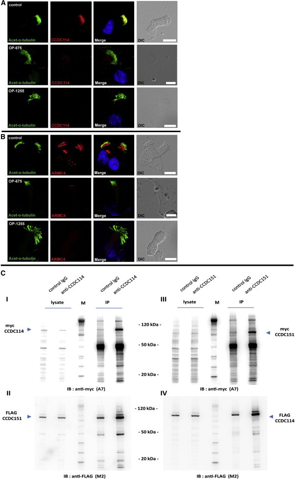 Figure 6