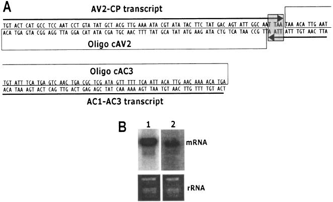 FIG. 7.