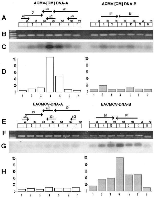 FIG. 6.