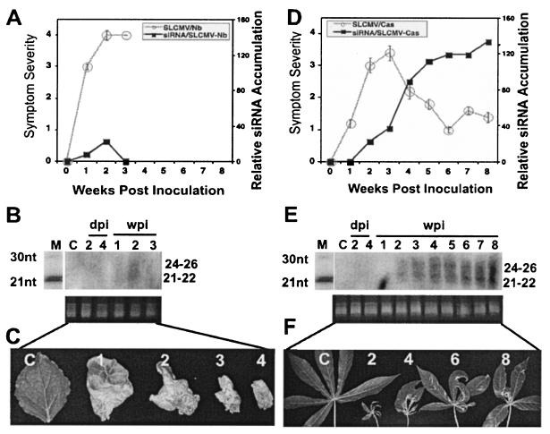 FIG. 3.