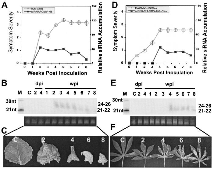 FIG. 5.