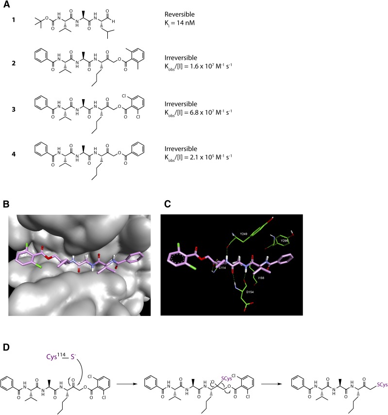 Fig. 3.