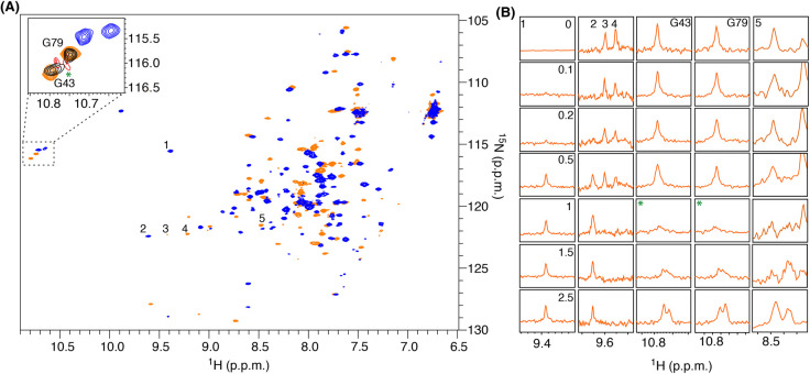 Figure 5.