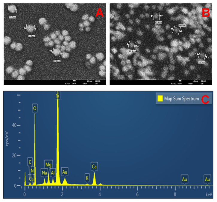 Figure 2