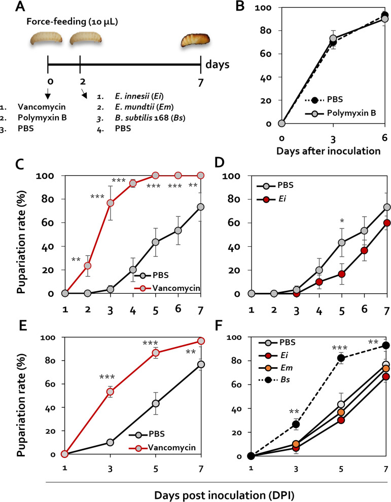 FIG 3