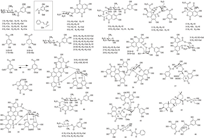 FIGURE 2