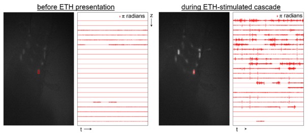 Fig. 6