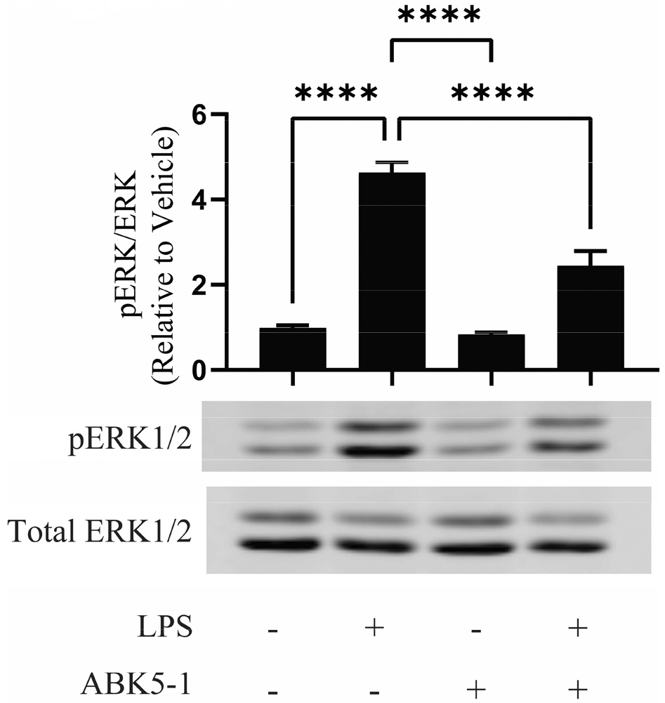 Figure 4: