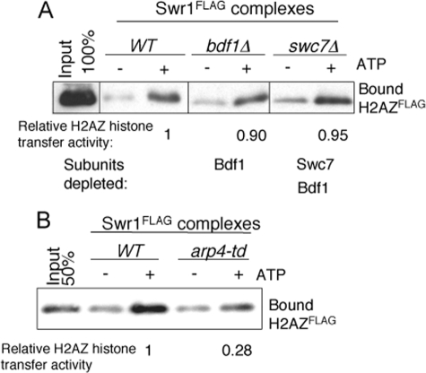 FIGURE 3.