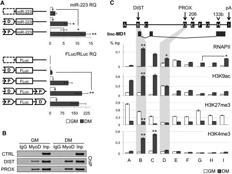 Figure 2